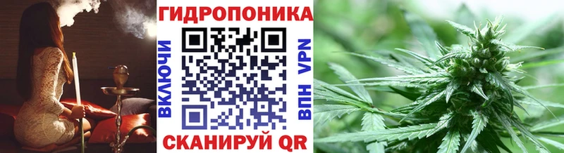 Канабис марихуана Касли